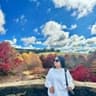 lyn dam