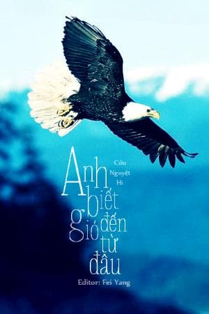 Anh Biết Gió Đến Từ Đâu
