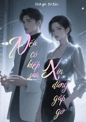 Nếu Có Kiếp Sau, Xin Đừng Gặp Gỡ